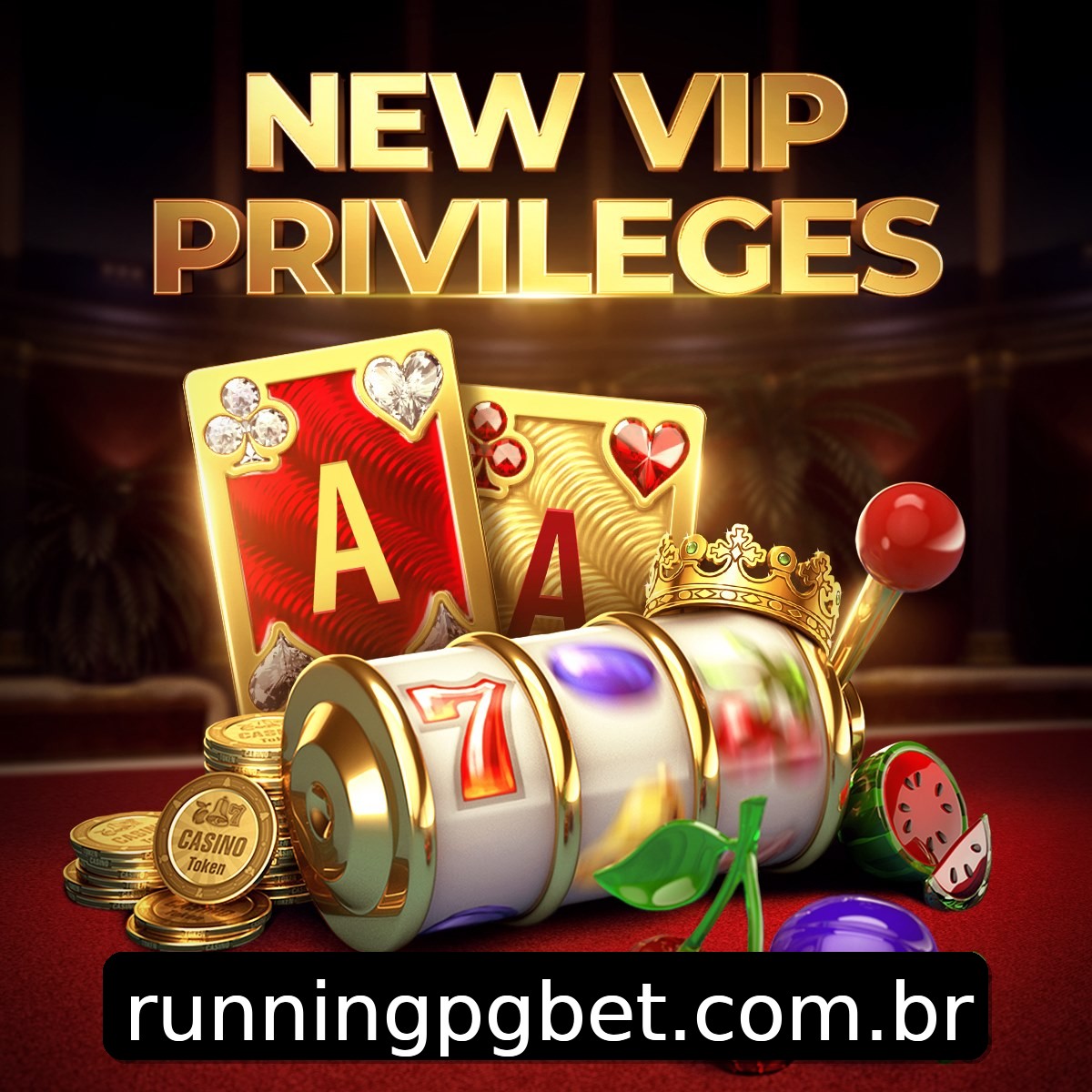 Programa VIP runningpg